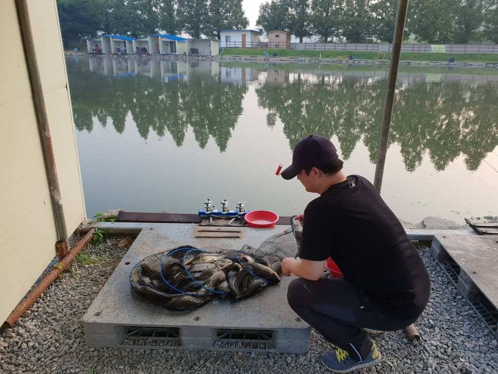 7 월 21 일 안성 거청낚시터 붕어조황 (유료터정보 - 유료터점주조황)