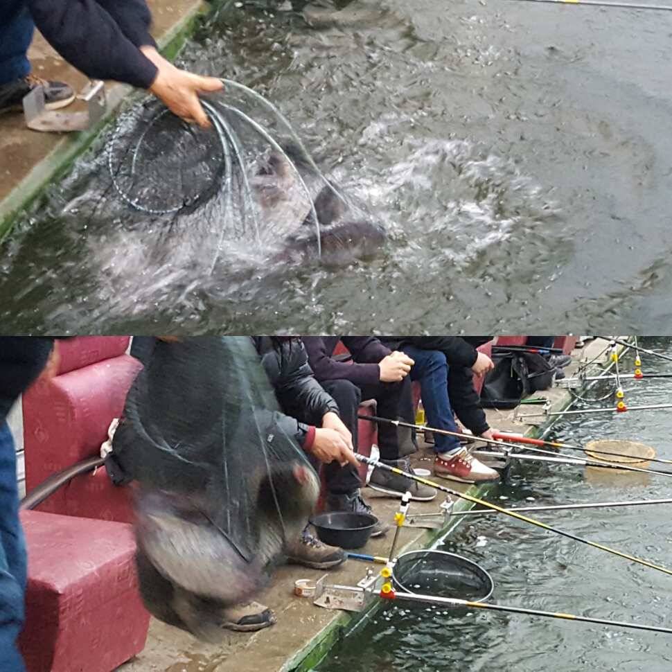 호러물 (유료터정보 - 유료터점주조황)
