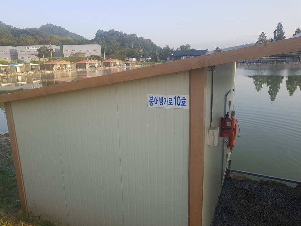 10 월 03일 경기도 안성 거청낚시터 붕어조황 (유료터정보 - 유료터점주조황)