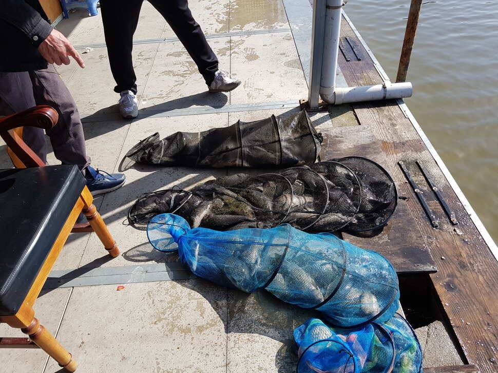 fish_pay_a0d51_041153_83557.jpg