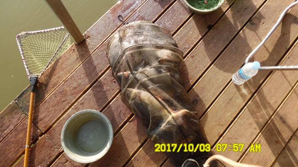 반제지 대박조황은 쭈욱 (유료터정보 - 유료터점주조황)