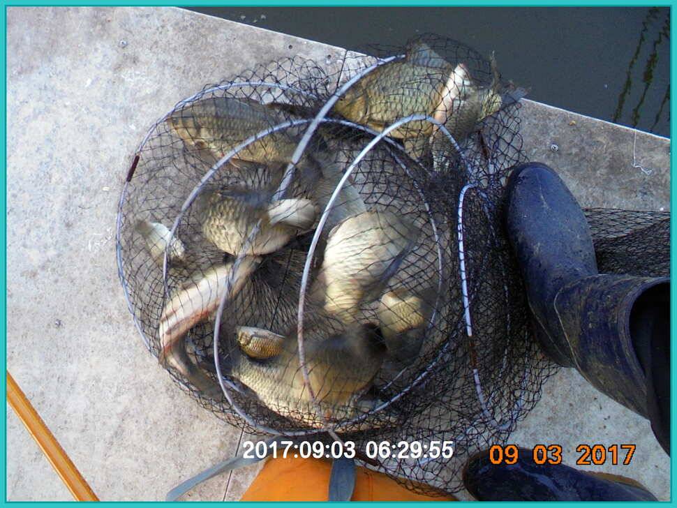 도심속의 작은 쉼터 화성 관리 낚시터 입니다 (유료터정보 - 유료터점주조황)