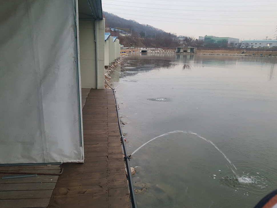 12 월 16 일 경기도 안성 거청낚시터 붕어조황 (유료터정보 - 유료터점주조황)