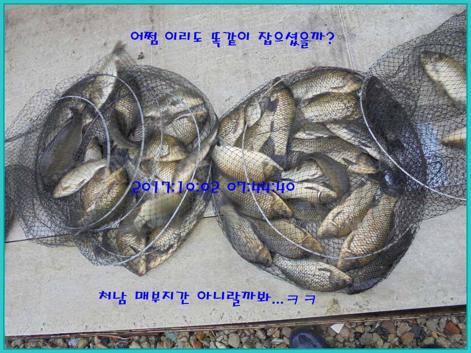도심속의 작은 쉼터 화성 관리 낚시터입니다입질이 살아나고 있습니다 (유료터정보 - 유료터점주조황)
