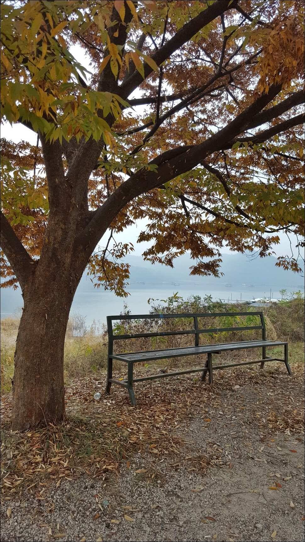 171107 송전지 서울집 조황 (유료터정보 - 유료터점주조황)