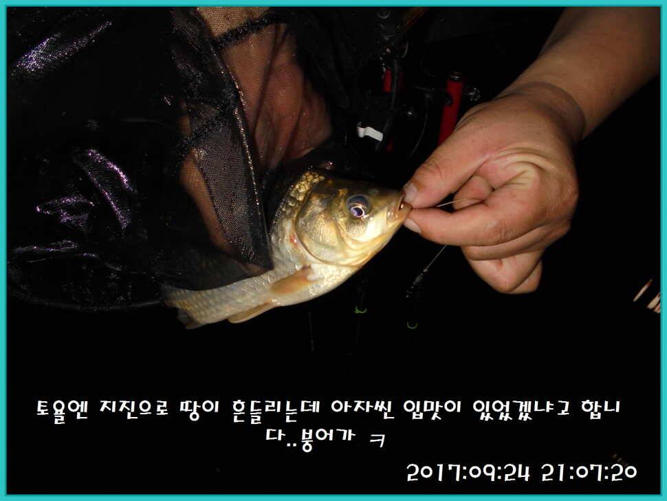도심속의 작은 쉼터 화성 관리 낚시터입니다건강하고 풍성한 한가위 맞으소서 (유료터정보 - 유료터점주조황)
