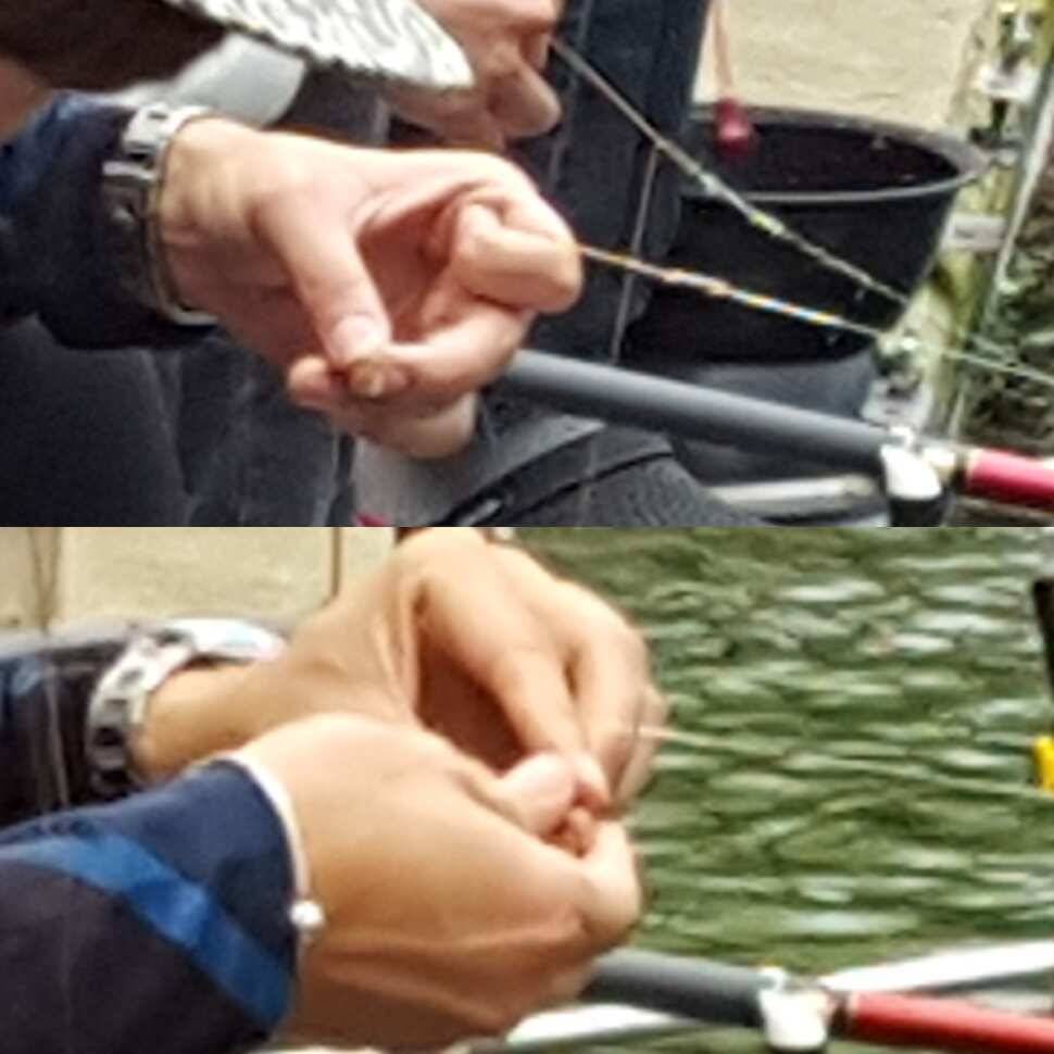 역돔왈 (유료터정보 - 유료터점주조황)