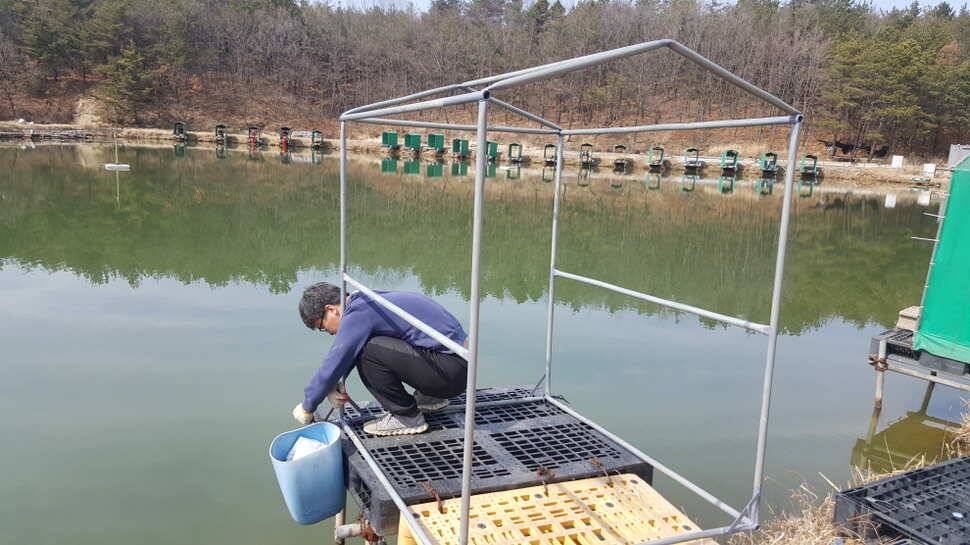 경주 동산낚시터 이번주 개장합니다 (유료터정보 - 유료터점주조황)