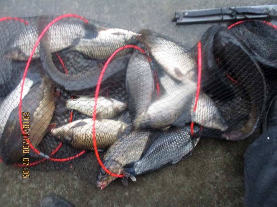 fish_pay_a8511_103520_71754.jpg