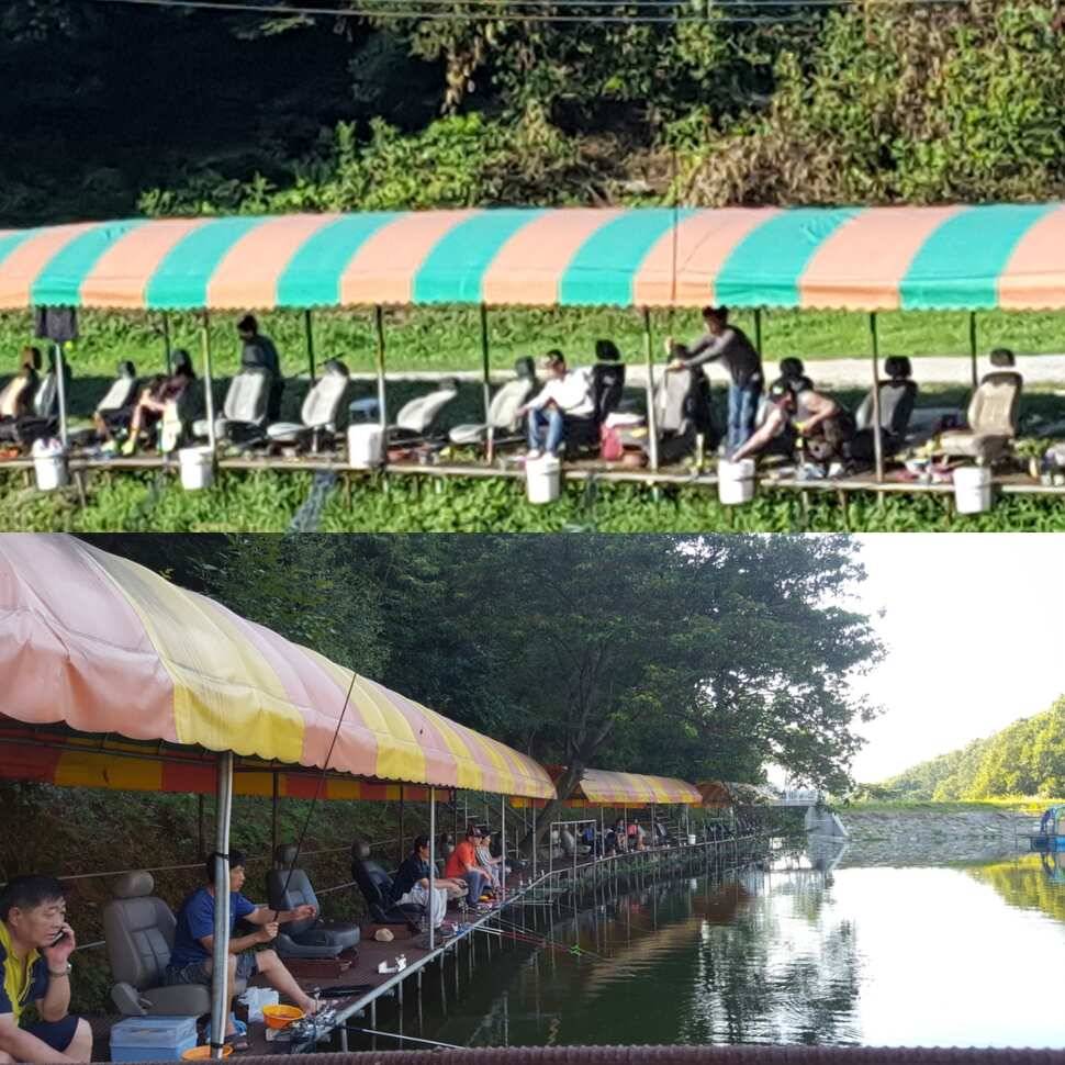 오싹한 연애 (유료터정보 - 유료터점주조황)