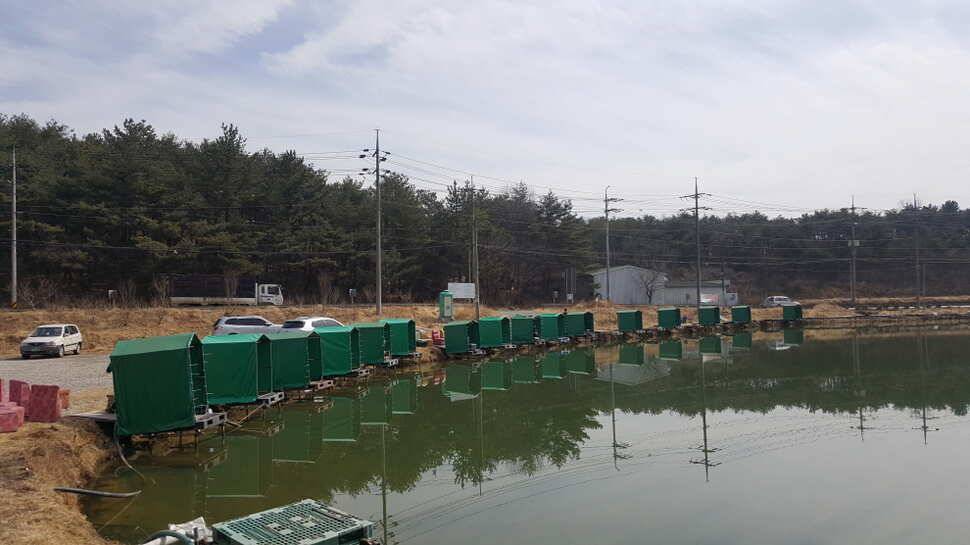 경주 동산낚시터 이번주 개장합니다 (유료터정보 - 유료터점주조황)