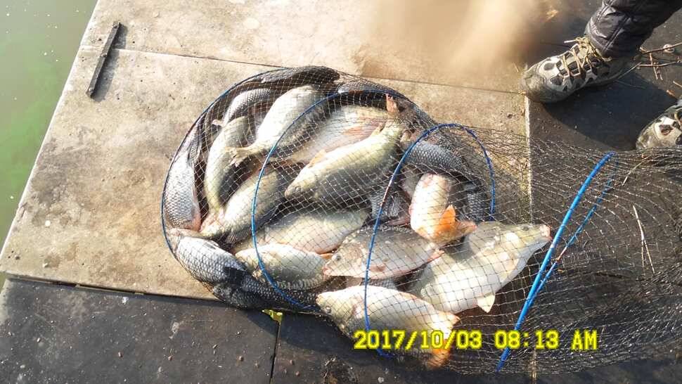반제지 대박조황은 쭈욱 (유료터정보 - 유료터점주조황)