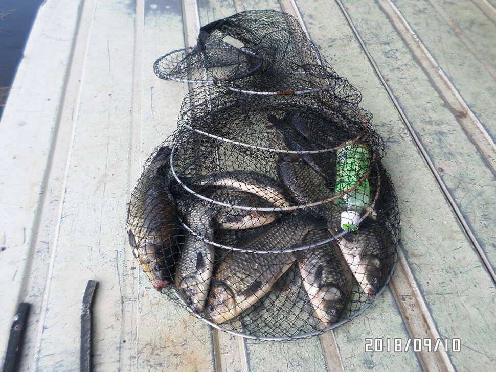 fish_pay_aa129_030851_40992.jpg
