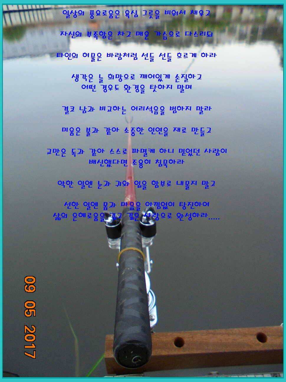 도심속의 작은 쉼터 화성 관리 낚시터입니다생각나는 사람으로 살자 (유료터정보 - 유료터점주조황)