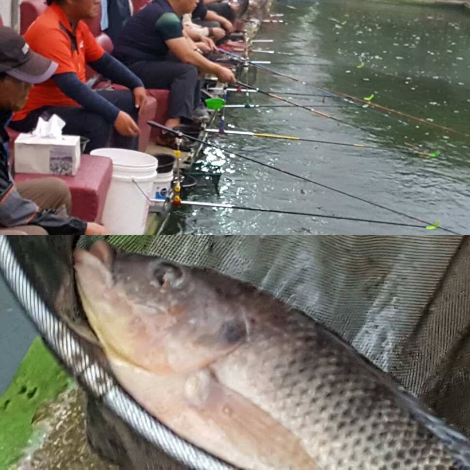 fish_pay_aaf3c_070727_20573.jpg