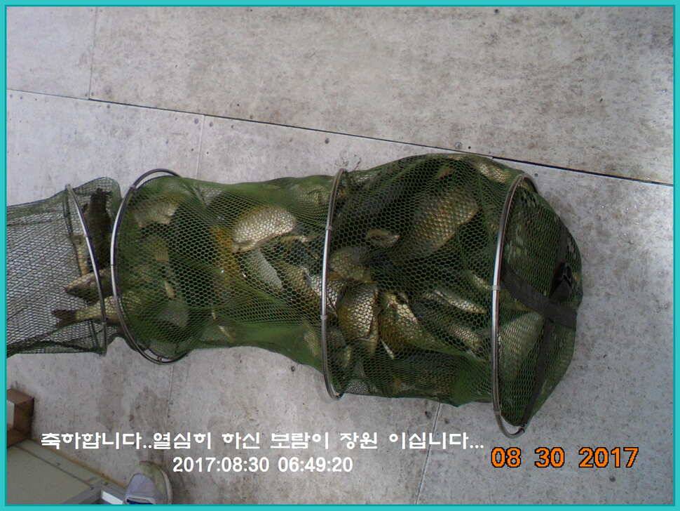 도심속의 작은 쉼터 화성 관리 낚시터입니다 (유료터정보 - 유료터점주조황)
