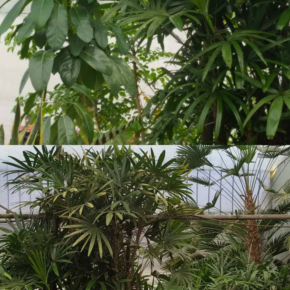 단단한 놈 (유료터정보 - 유료터점주조황)