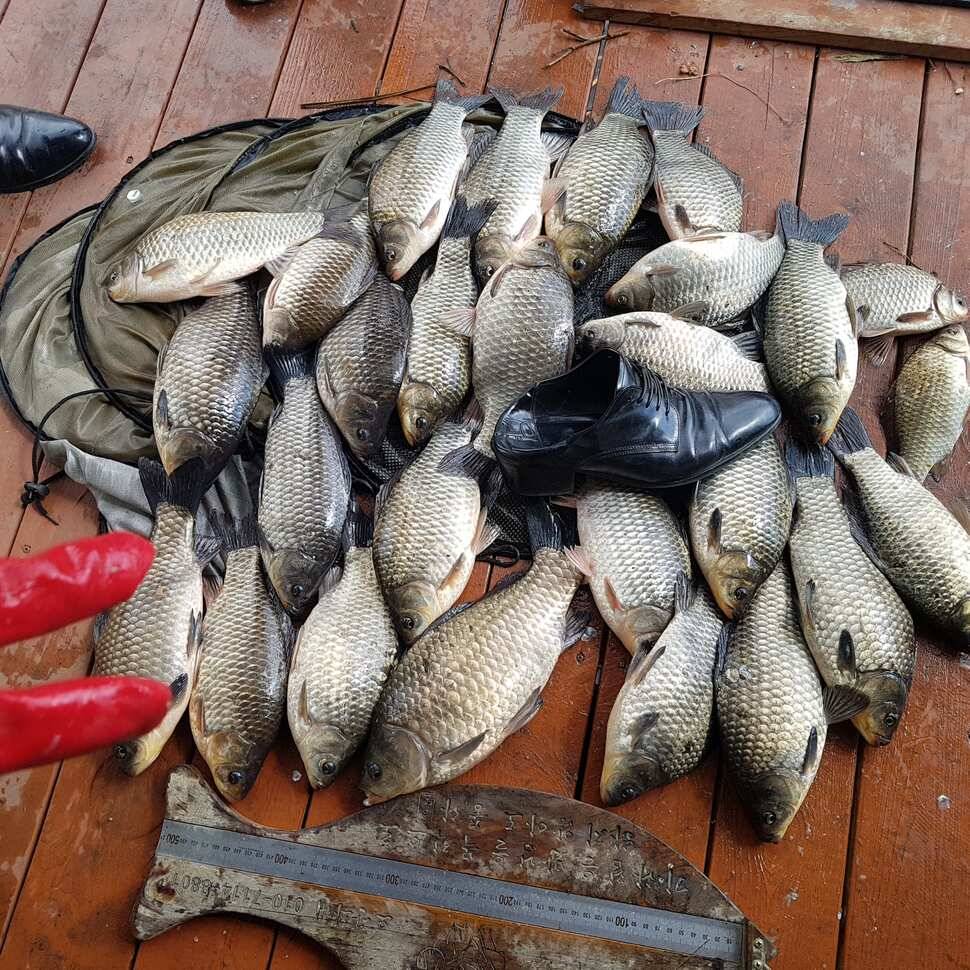fish_pay_ad018_014317_51625.jpg