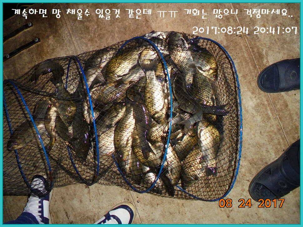 도심속의 작은 쉼터 화성 관리 낚시터입니다수확의 계절입니다 (유료터정보 - 유료터점주조황)
