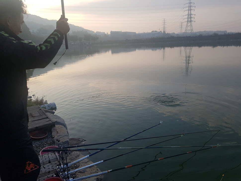10 월 07일 경기도 안성 거청낚시터 붕어조황 (유료터정보 - 유료터점주조황)