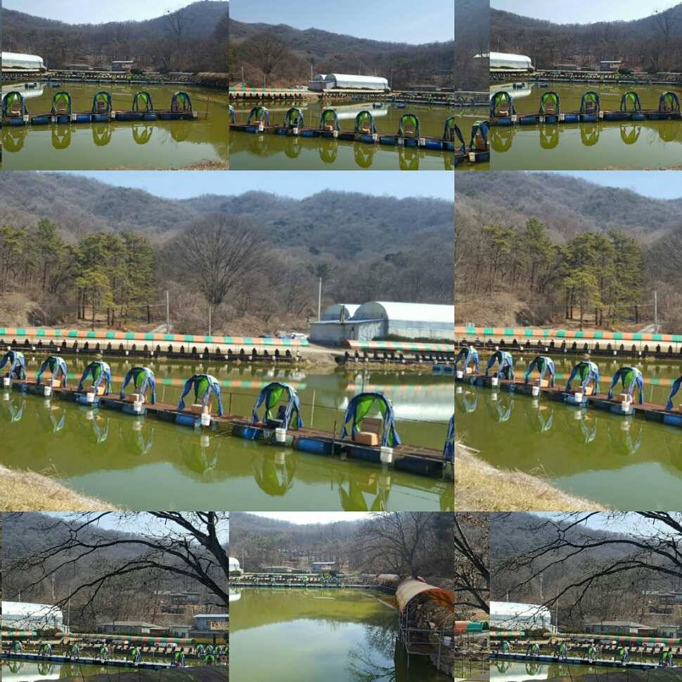 망상 (유료터정보 - 유료터점주조황)