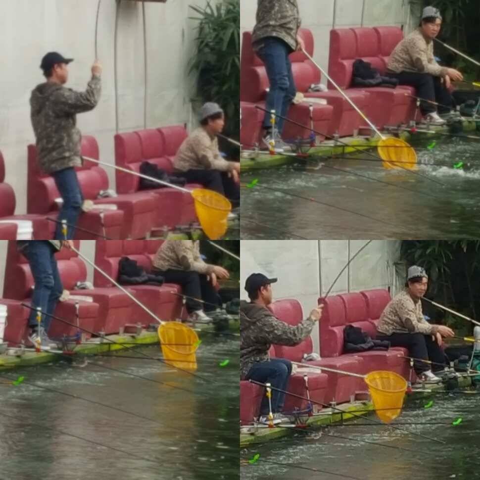어여기 좀 보세요 (유료터정보 - 유료터점주조황)