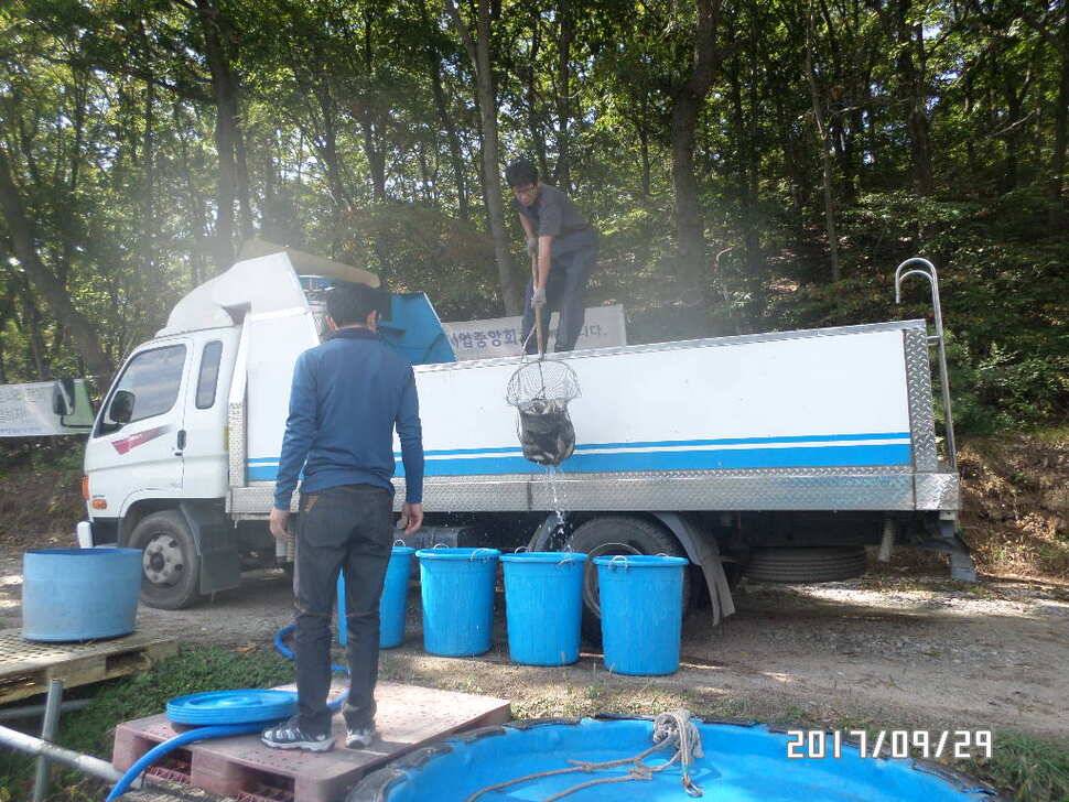 아산 신수지 9월 머지막주말 화보입니다 (유료터정보 - 유료터점주조황)