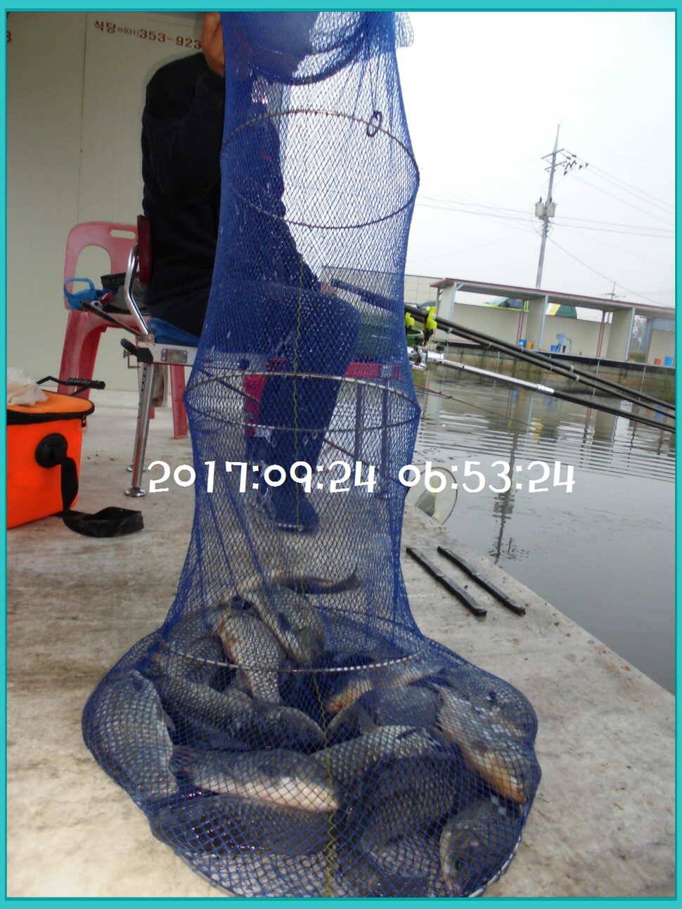 도심속의 작은 쉼터 화성 관리 낚시터입니다노지보단 방가로쪽 상류보단 하류쪽이 더 좋았습니다 (유료터정보 - 유료터점주조황)