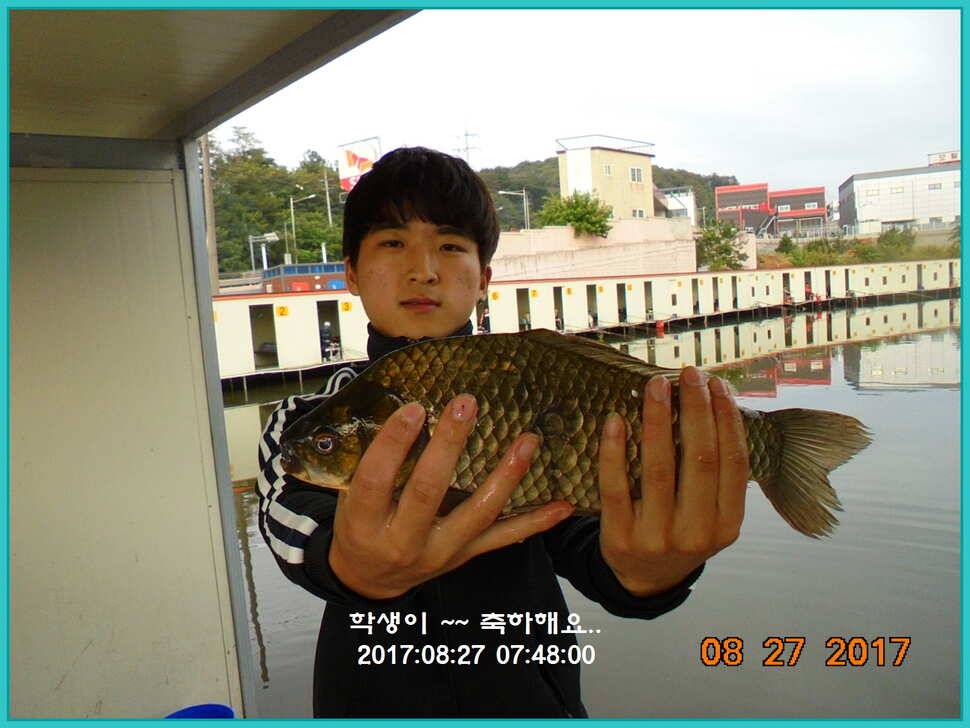 도심속의 작은 쉼터 화성 관리 낚시터입니다예술 한번 하시지요 (유료터정보 - 유료터점주조황)