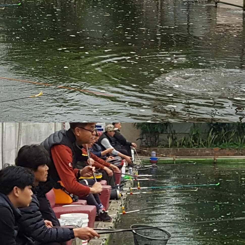 낚시맹 (유료터정보 - 유료터점주조황)