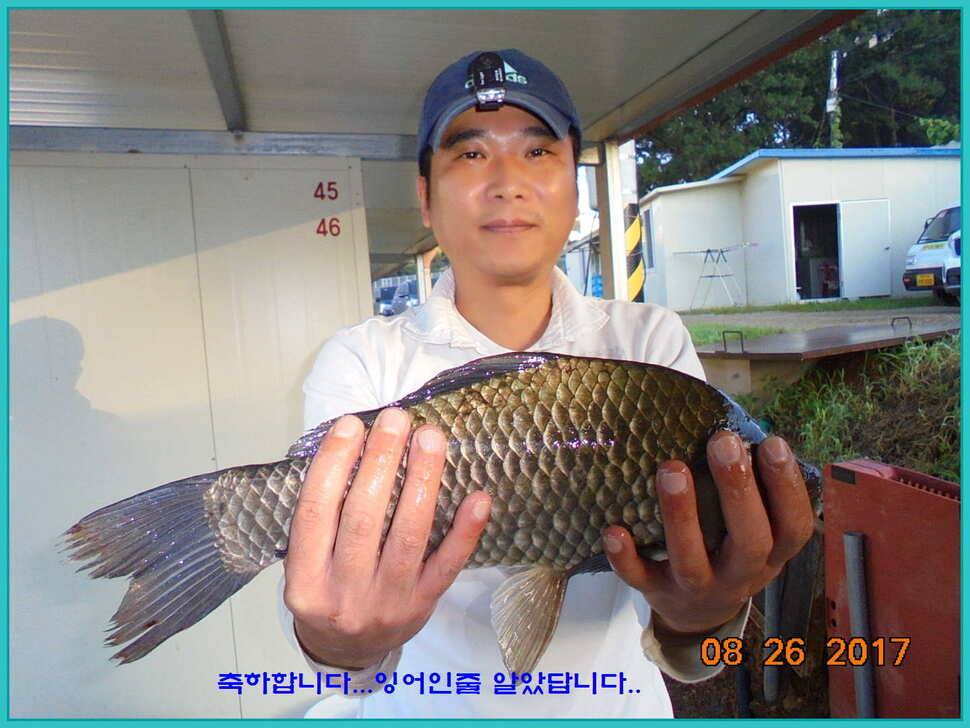 도심속의 작은 쉼터 화성 관리 낚시터입니다밤은 행복입니다 (유료터정보 - 유료터점주조황)