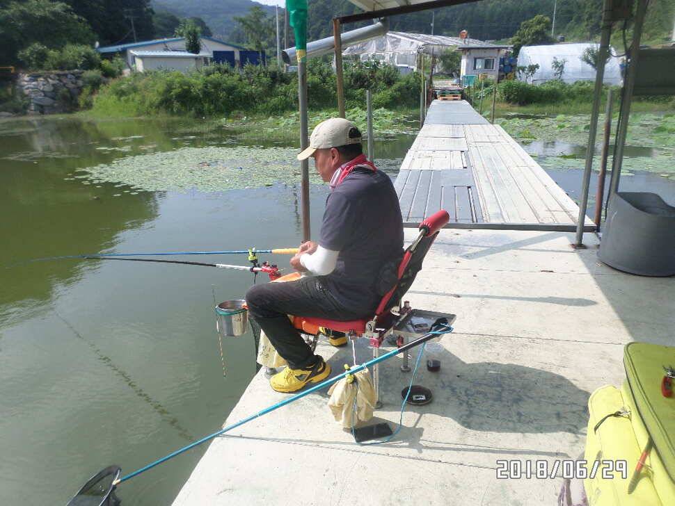 아산신수지 6월 마지막 주중 화보입니다 (유료터정보 - 유료터점주조황)