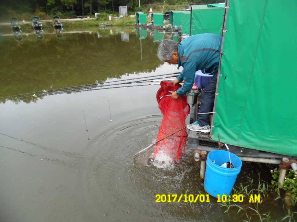 경주동산낚시터 지난주 조황 (유료터정보 - 유료터점주조황)