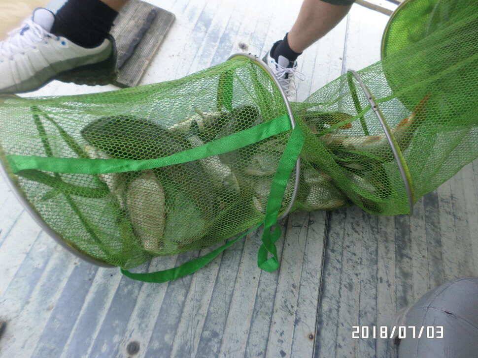 아산신수지 7월 둘째 주중 화보입니다 (유료터정보 - 유료터점주조황)
