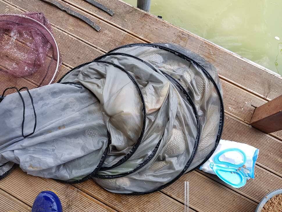 반제지 9월12일조황정보입니다 (유료터정보 - 유료터점주조황)