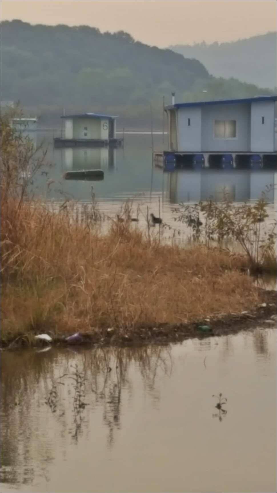 171107 송전지 서울집 조황 (유료터정보 - 유료터점주조황)