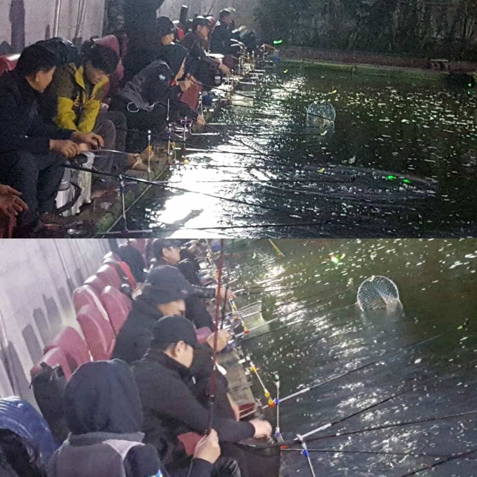 스릴러 (유료터정보 - 유료터점주조황)