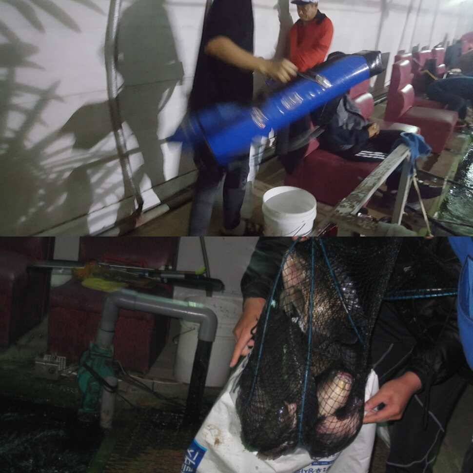 눈먼 물고기 (유료터정보 - 유료터점주조황)