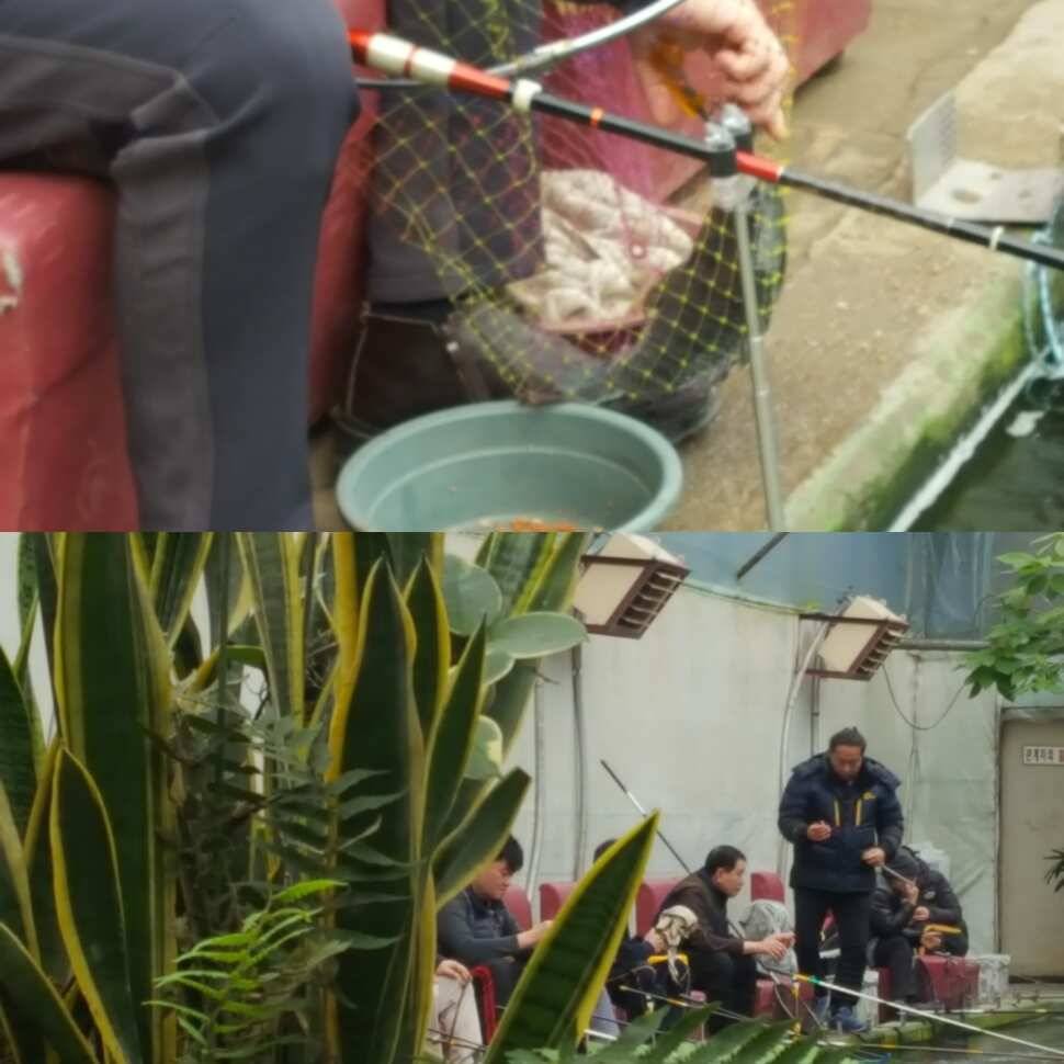 어여기 좀 보세요 (유료터정보 - 유료터점주조황)