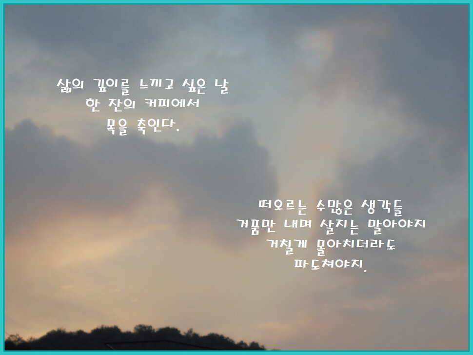 도심속의 작은 쉼터 화성 관리 낚시터입니다노지보단 방가로쪽 상류보단 하류쪽이 더 좋았습니다 (유료터정보 - 유료터점주조황)