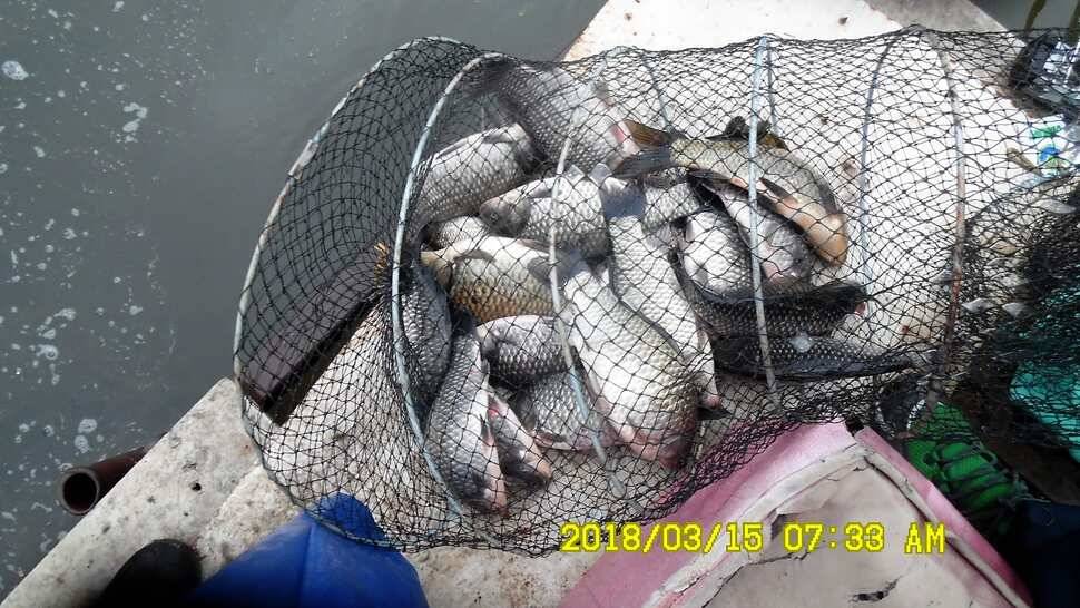 반제지 조황정보입니다 (유료터정보 - 유료터점주조황)