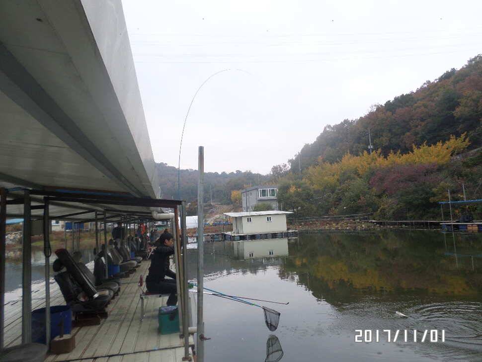아산신수지 11월 첫주중 화보입니다 (유료터정보 - 유료터점주조황)