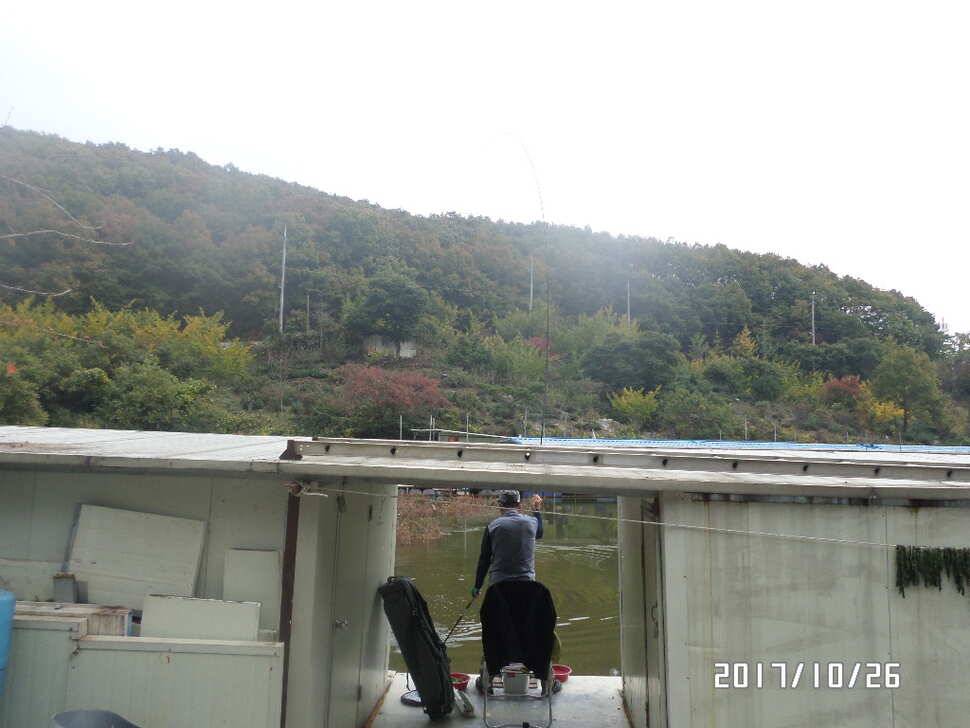 아산 신수지 금주 모습입니다 (유료터정보 - 유료터점주조황)