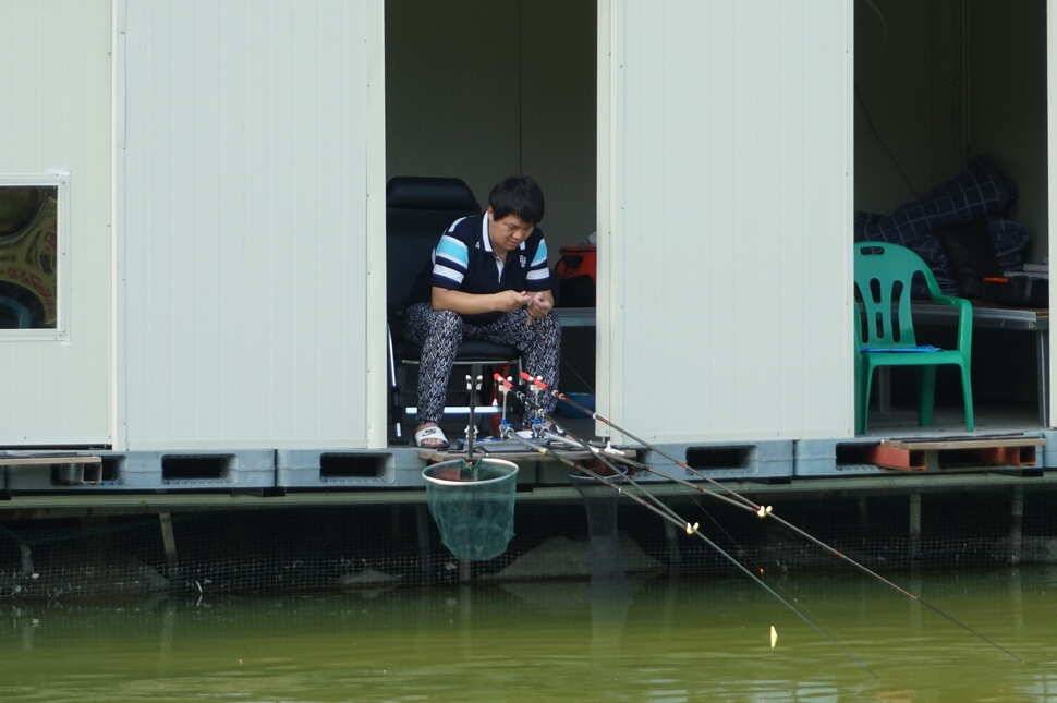 오메무더위ㅠㅠ (유료터정보 - 유료터점주조황)