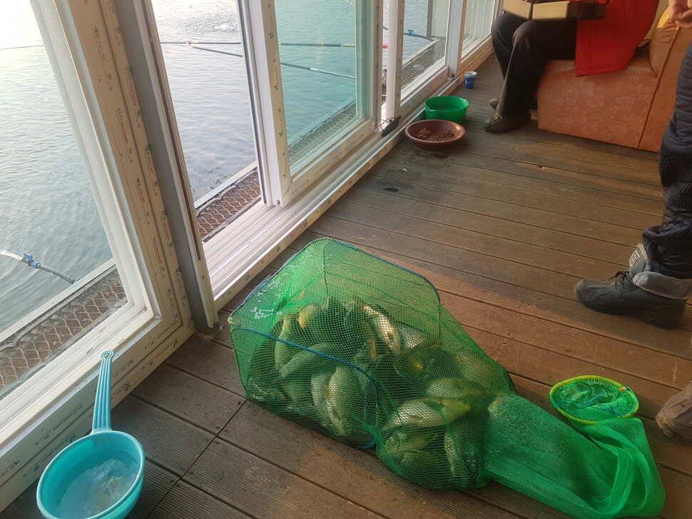2월 8일 거청낚시터 붕어조황 (유료터정보 - 유료터점주조황)