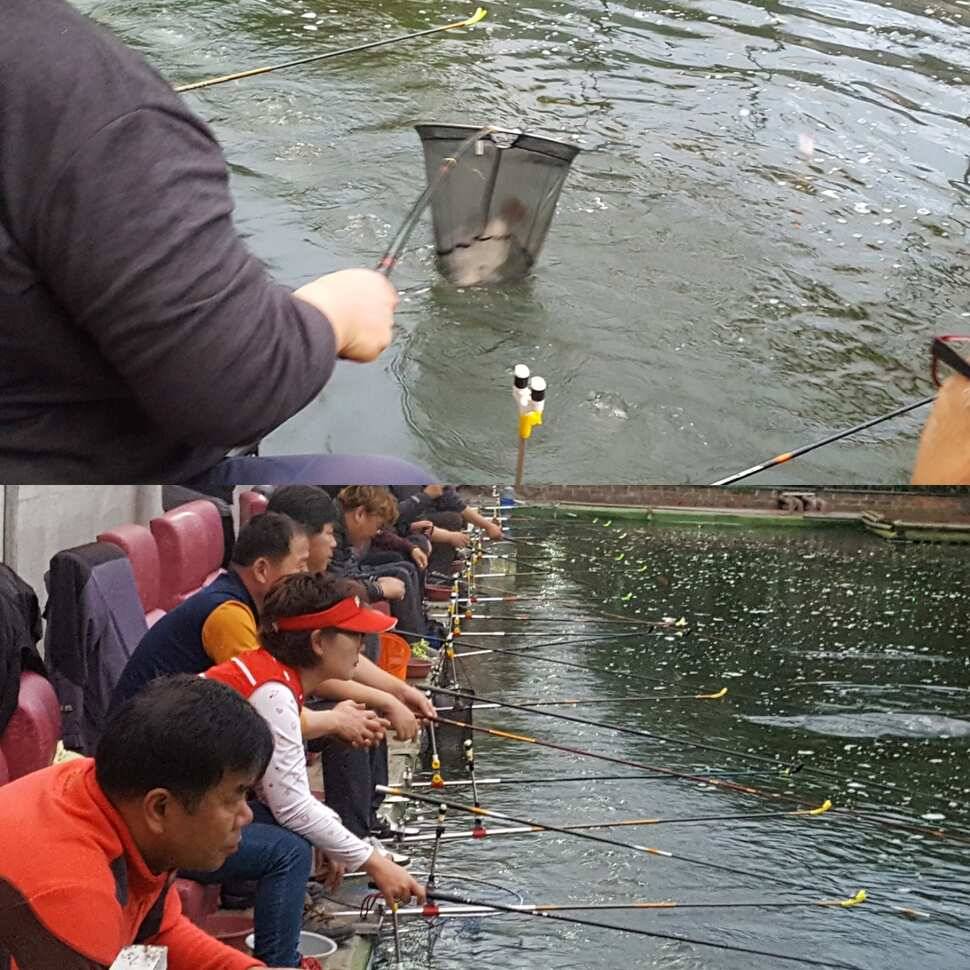 신세타령 (유료터정보 - 유료터점주조황)