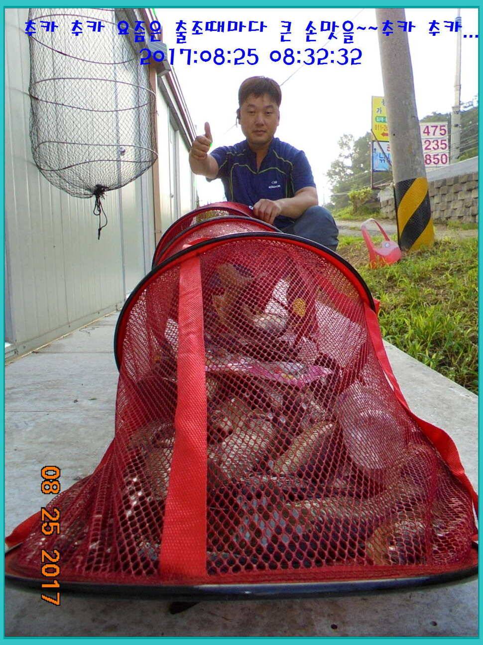 도심속의 작은 쉼터 화성 관리 낚시터입니다수확의 계절입니다 (유료터정보 - 유료터점주조황)