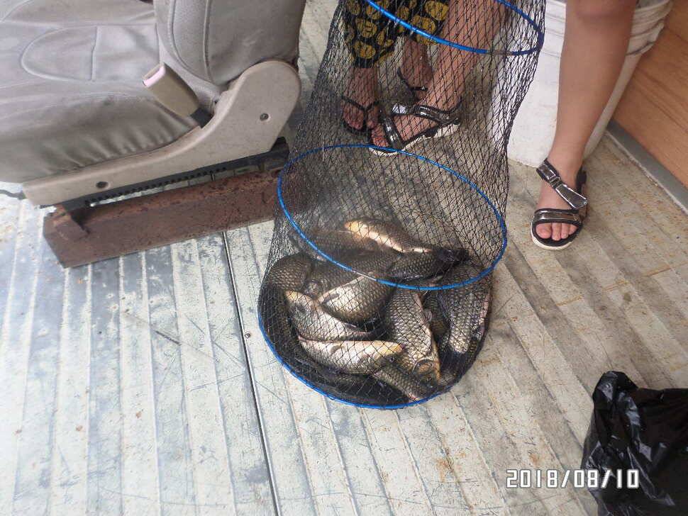 fish_pay_bbc82_045027_79110.jpg
