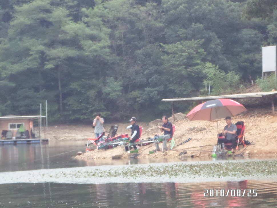 아산신수지 8월 넷째 주말 화보입니다 (유료터정보 - 유료터점주조황)