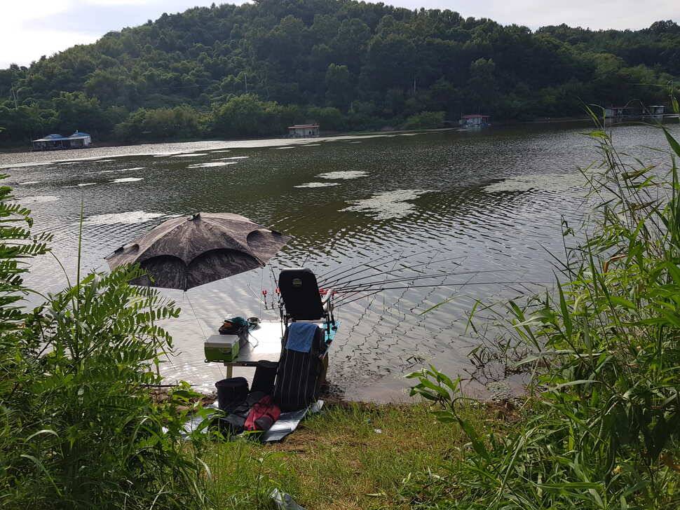 8월 19일 당진 가교리 낚시터 토종붕어 조황 (유료터정보 - 유료터점주조황)